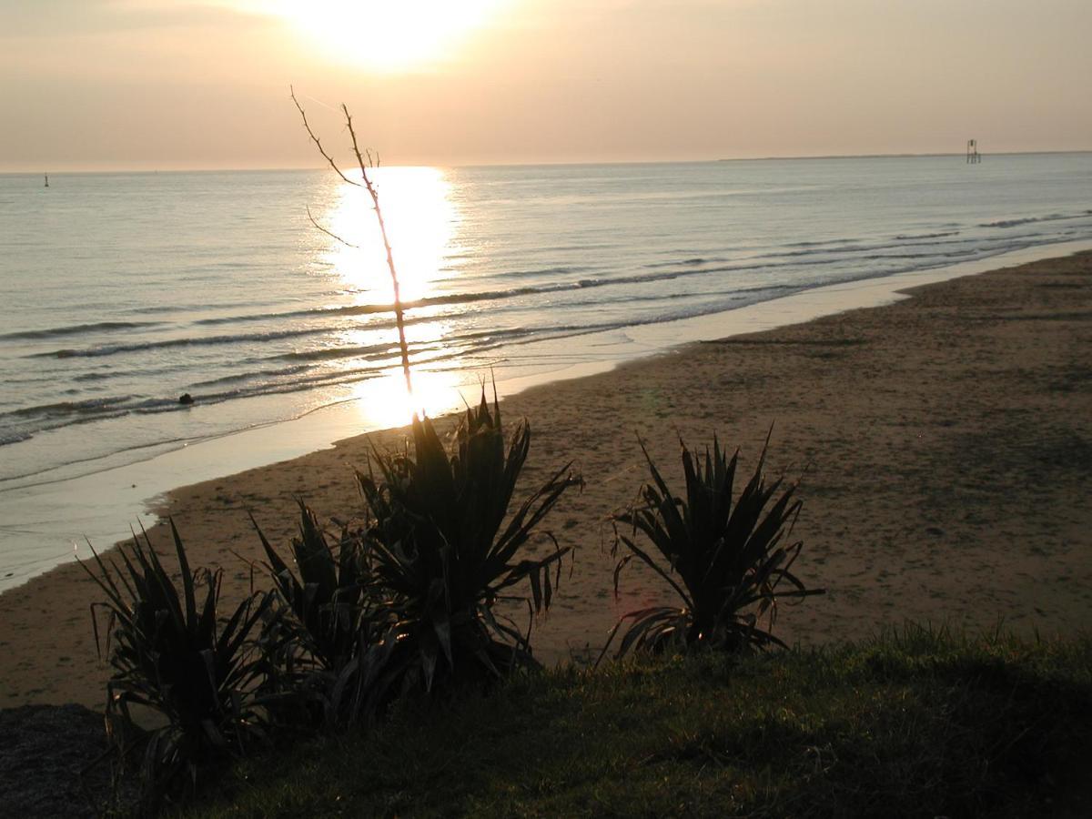 Studio Dunes Aux Ecureuils Saint-Palais-sur-Mer Ngoại thất bức ảnh